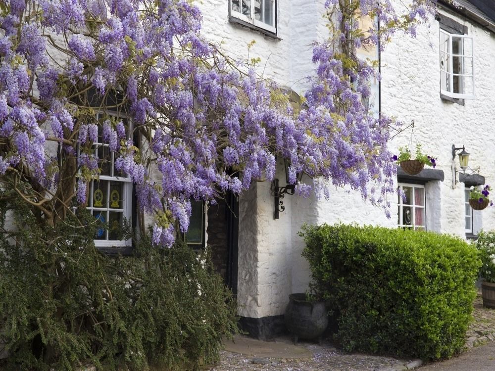 Old Church House Inn Newton Abbot Esterno foto